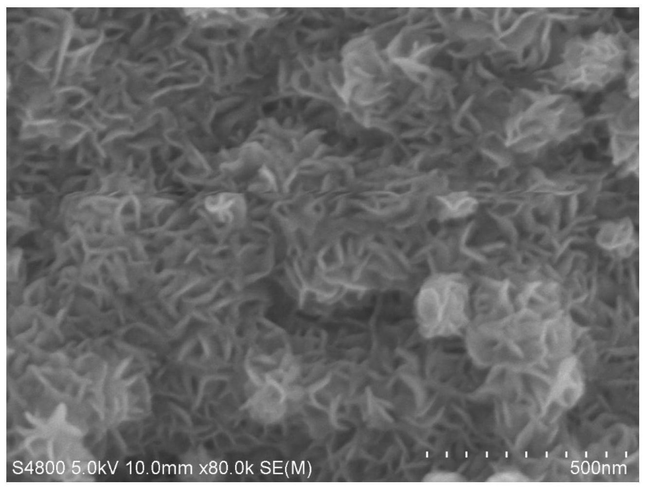 一种Co掺杂的硒化钼纳米片/Mo箔复合材料、制备方法及其应用