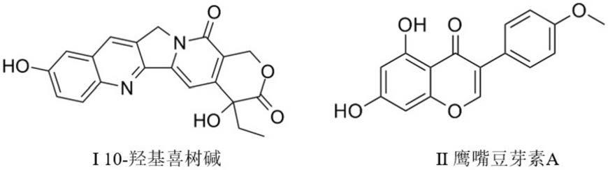10-羟基喜树碱与鹰嘴豆芽素A的药物组合物及其应用