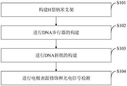 RNA中m5C和m6A双重分析逻辑光电化学传感方法