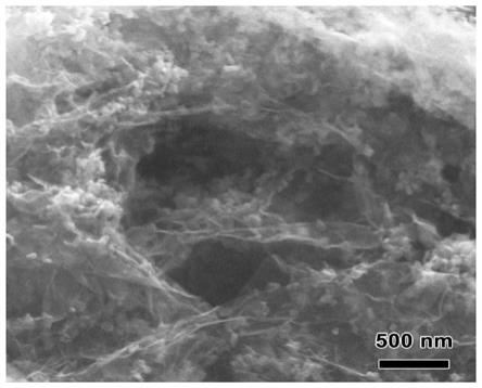 一种用于锂离子电池负极材料的石墨烯/二硒化铁复合材料及其制备方法与流程