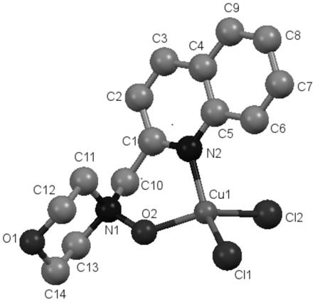 一种含氮杂环衍生N,O-双齿配位单核铜催化剂的制备方法及其用途与流程