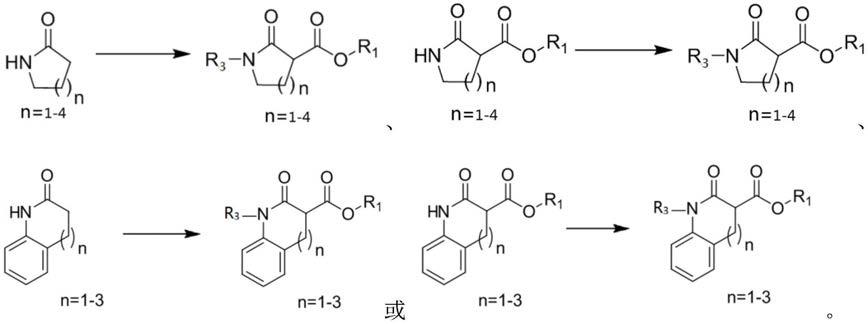 镍催化不对称烯丙基烷基化构建α-酰基内酰胺季碳手性中心化合物的方法及化合物与流程