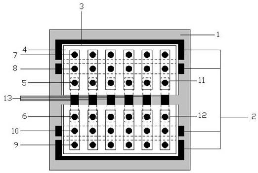 带有对称参比电极的封闭式双极电极阵列的分析检测装置的制作方法