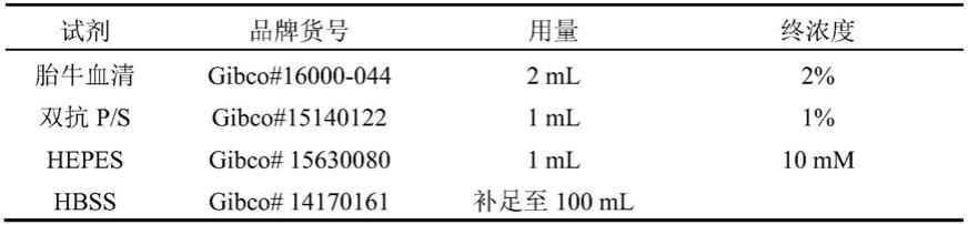 一种胃癌微肿瘤细胞模型的培养方法与流程