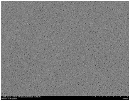 一种作为电镜显影剂的纳米金颗粒的制备方法及所得纳米金颗粒与流程