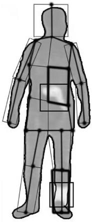 一种人体灰度图像中目标物体所在人体部位判定的方法与流程