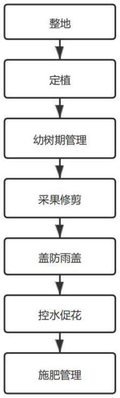 一种适宜于柠檬反季秋花果栽培的方法