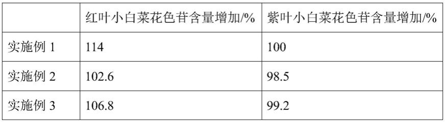 一种基于UV-A耦合对小白菜中花色苷积累的分子机理研究方法