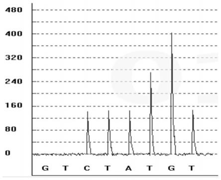 一种沙丁胺醇代谢标志物的基因多态性检测试剂盒及其检测方法和应用与流程