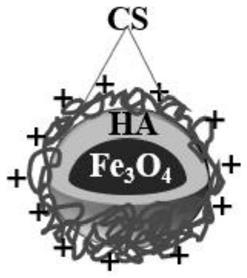 一种用于油水分离的Fe3O4/HA/CSMNPs及制备方法、应用与流程