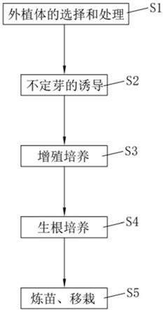 一种