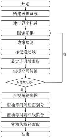 一种基于多视角轮廓图重建的蜜柚纵横径测量方法