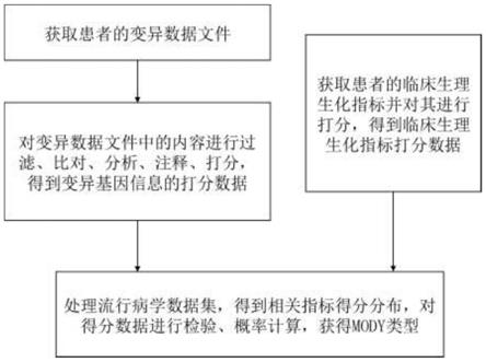 一种MODY型糖尿病分型方法、系统和装置与流程