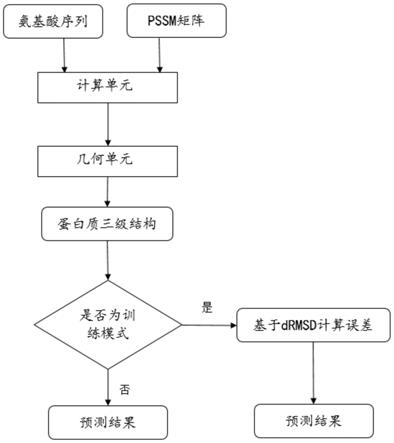 一种基于几何网络的蛋白质结构预测方法与流程