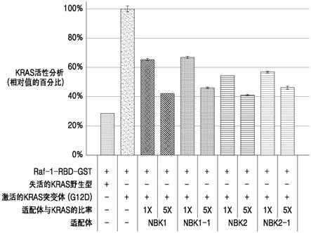 一种与KRAS蛋白特异性结合的适配体及其使用方法与流程