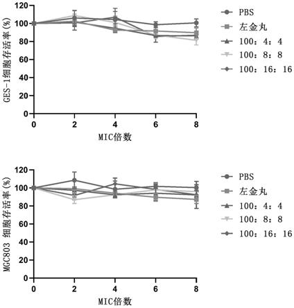 一种治疗幽门螺杆菌的组合物及其制备方法和应用