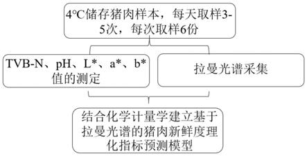 一种基于拉曼光谱技术的猪肉新鲜度快速检测方法与流程