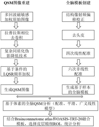 一种基于体素的全脑QSM联合ROI分析的方法与流程