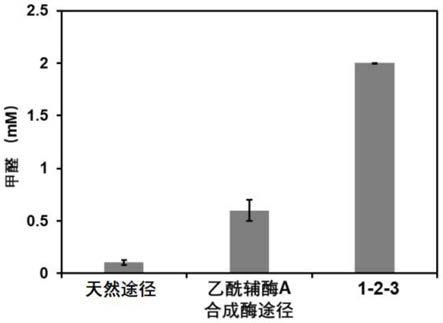 一种从甲酸到甲醛和/或甲醇的生物合成方法与流程