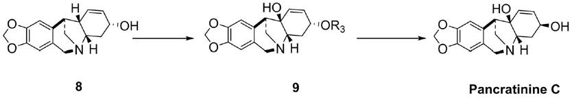 一种天然产物PancratinineB和C的合成方法与流程