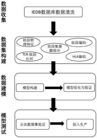 基于多模态深度编码的抗原免疫原性预测方法和系统与流程