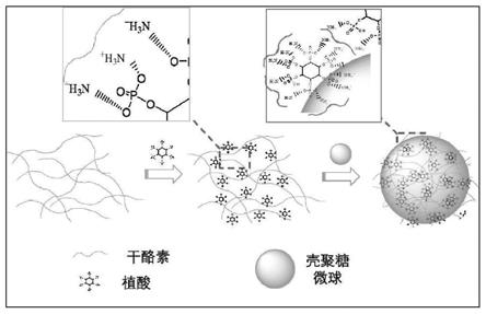 一种壳聚糖微球阻燃剂及其制备方法和应用