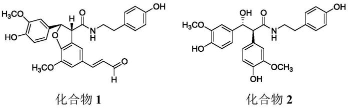 火麻仁中的木脂素酰胺类化合物及其制备方法和应用与流程