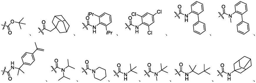 瑞德西韦中间体(S,S)-氨基磷酸酯的不对称催化合成方法与流程