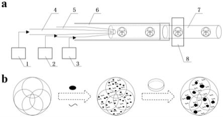 一种载三维胰岛β细胞聚集体的多孔微载体的制备方法与流程
