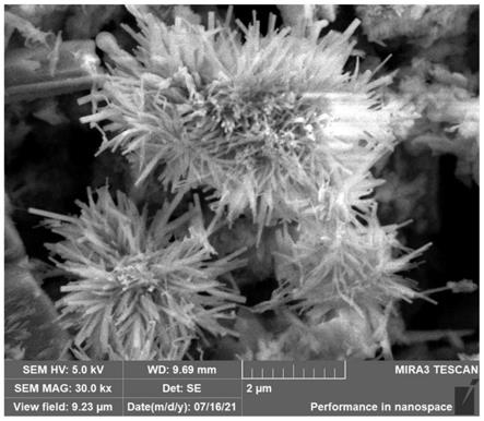 球形海胆状氧化铜颗粒及其制备方法、应用与流程