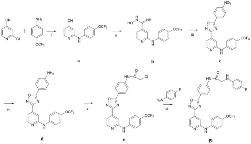 (4-(1,2,4-恶二唑-5-基)苯基)甲酰胺衍生物及其在抗关节炎药物中的应用的制作方法