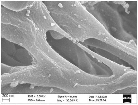 一种纤维素负载纳米银复合材料及制备方法和应用