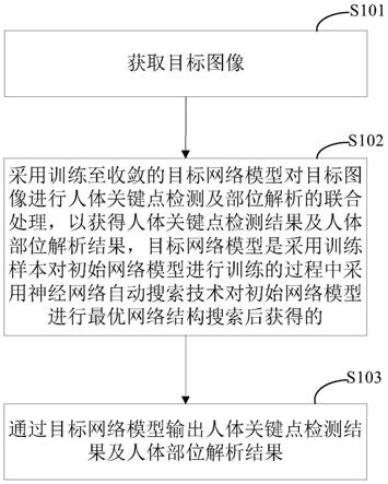 人体关键点检测及部位解析的联合处理方法、设备及产品与流程