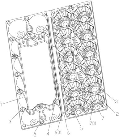 带定位结构的蛋盒的制作方法