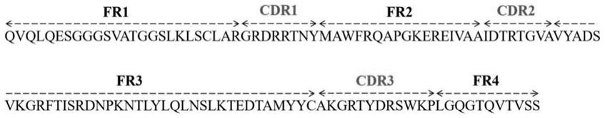一种抗Cry3Bb蛋白单域重链抗体及其应用的制作方法
