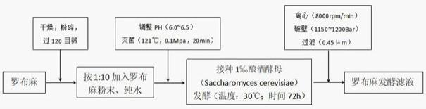 一种罗布麻发酵产物的发酵方法及其在抗炎化妆品中的应用与流程