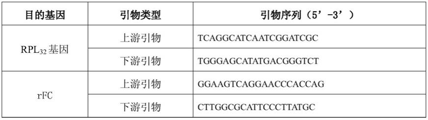 用于表达rFC蛋白的84E突变载体及其制备方法和应用与流程