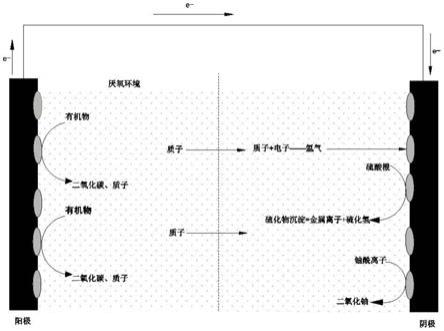 微生物燃料电池及其用途的制作方法