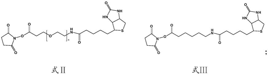 用于早期肺癌筛查的自身抗体联合检测免疫化学发光试剂盒及其制备方法与流程