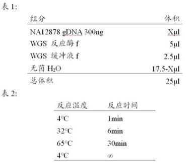 一种构建全基因组高通量测序的文库的方法和试剂盒与流程