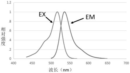 一种亲水性蒽类荧光染料及其合成方法与流程