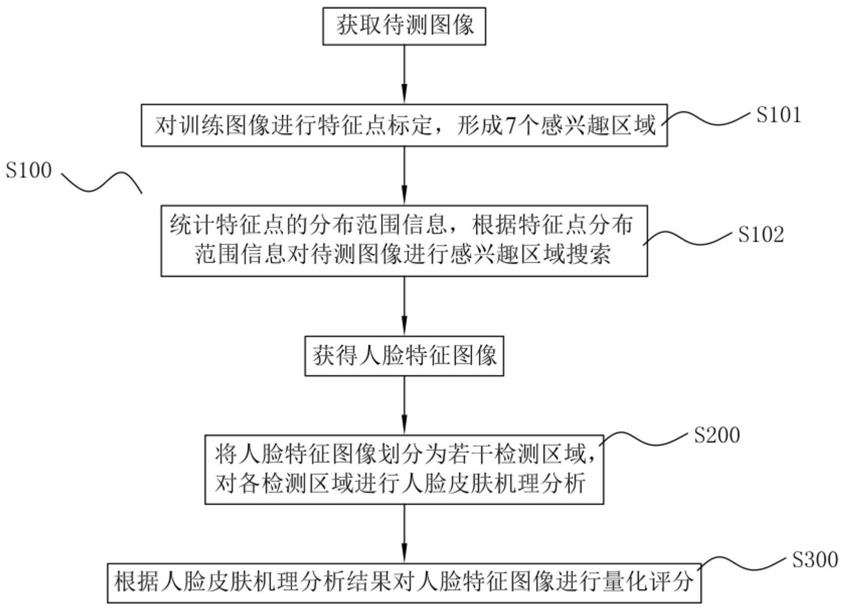 基于图像识别的面部皮肤分析方法及系统与流程