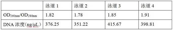 一种快速提取革兰氏阴性菌基因组DNA的试剂盒及提取方法与流程