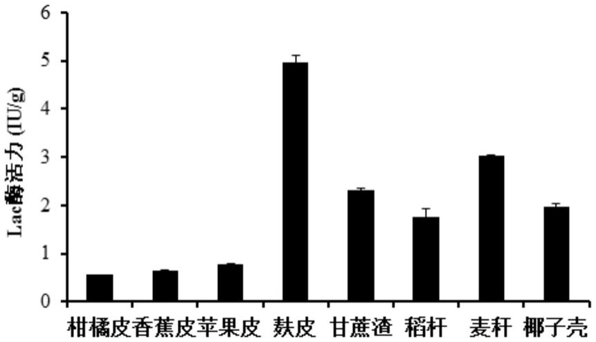 一种无苦味的瓯柑酵素及其制备方法与流程