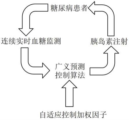 一种基于自适应控制加权因子策略的胰岛素输注量控制方法与流程