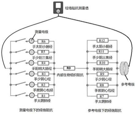 测量手腕或脚踝经络阻抗的测量装置和测量方法与流程