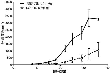 BCMA抗体的制作方法