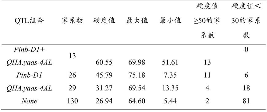 一种利用合成小麦C615创制不同硬度类型种质的选育方法与流程