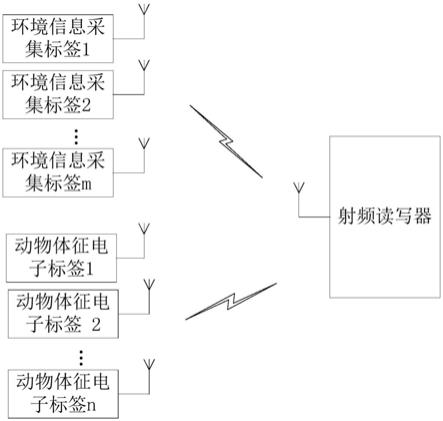 一种RFID智能养殖场的信息采集系统的制作方法