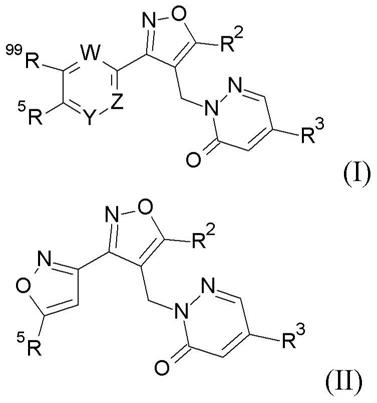 作为GABAAα5PAM的新型异噁唑基醚衍生物的制作方法